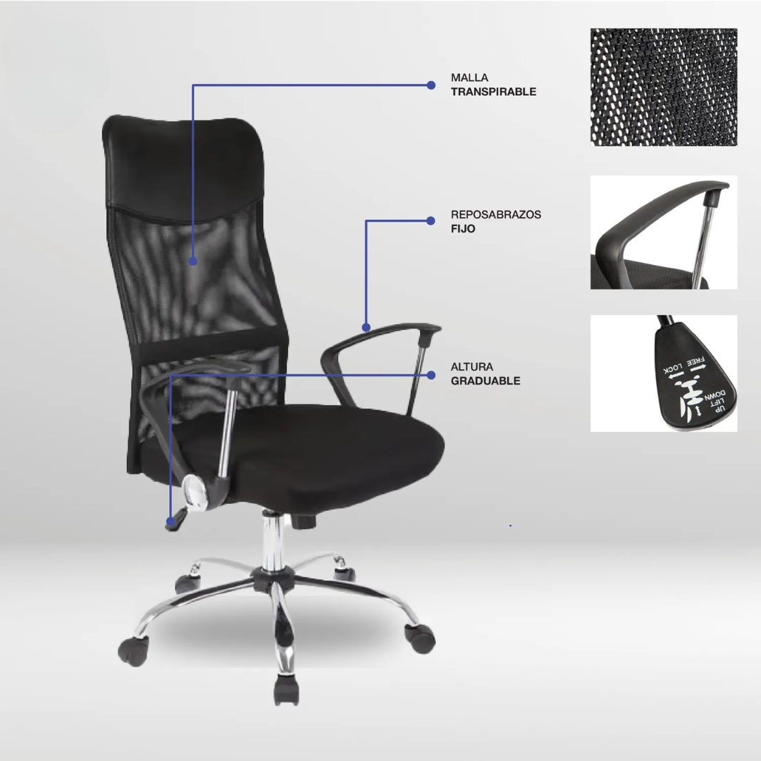 Silla Florida
